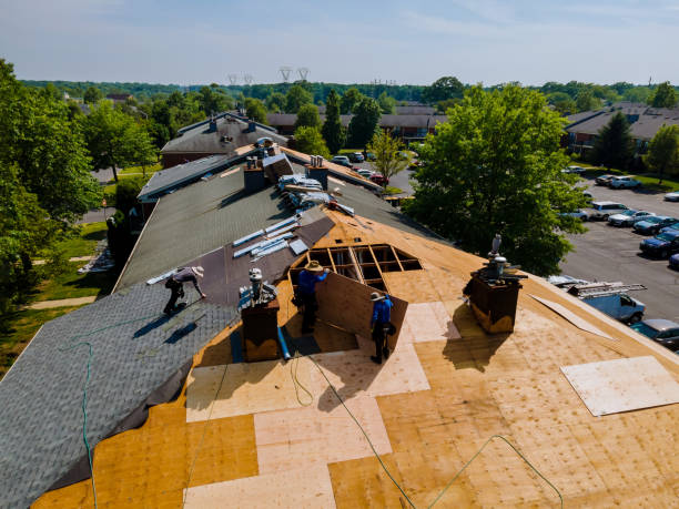 Quick and Trustworthy Emergency Roof Repair Services in Victoria, MS