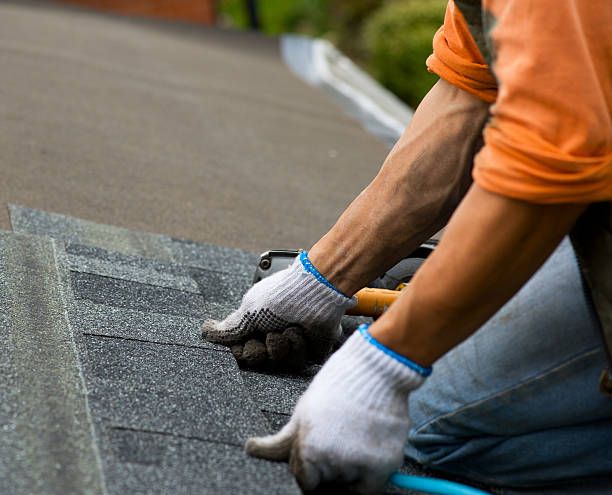 Best Storm Damage Roof Repair  in Victoria, MS