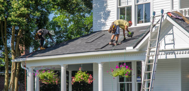 Best Roof Gutter Cleaning  in Victoria, MS
